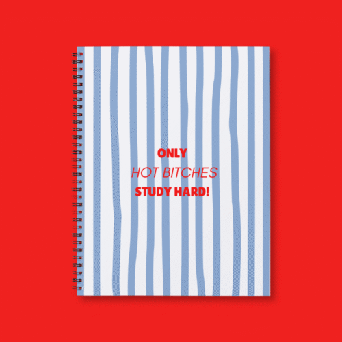 'Only Hot Bitches Study Hard!' - A4 Notebook